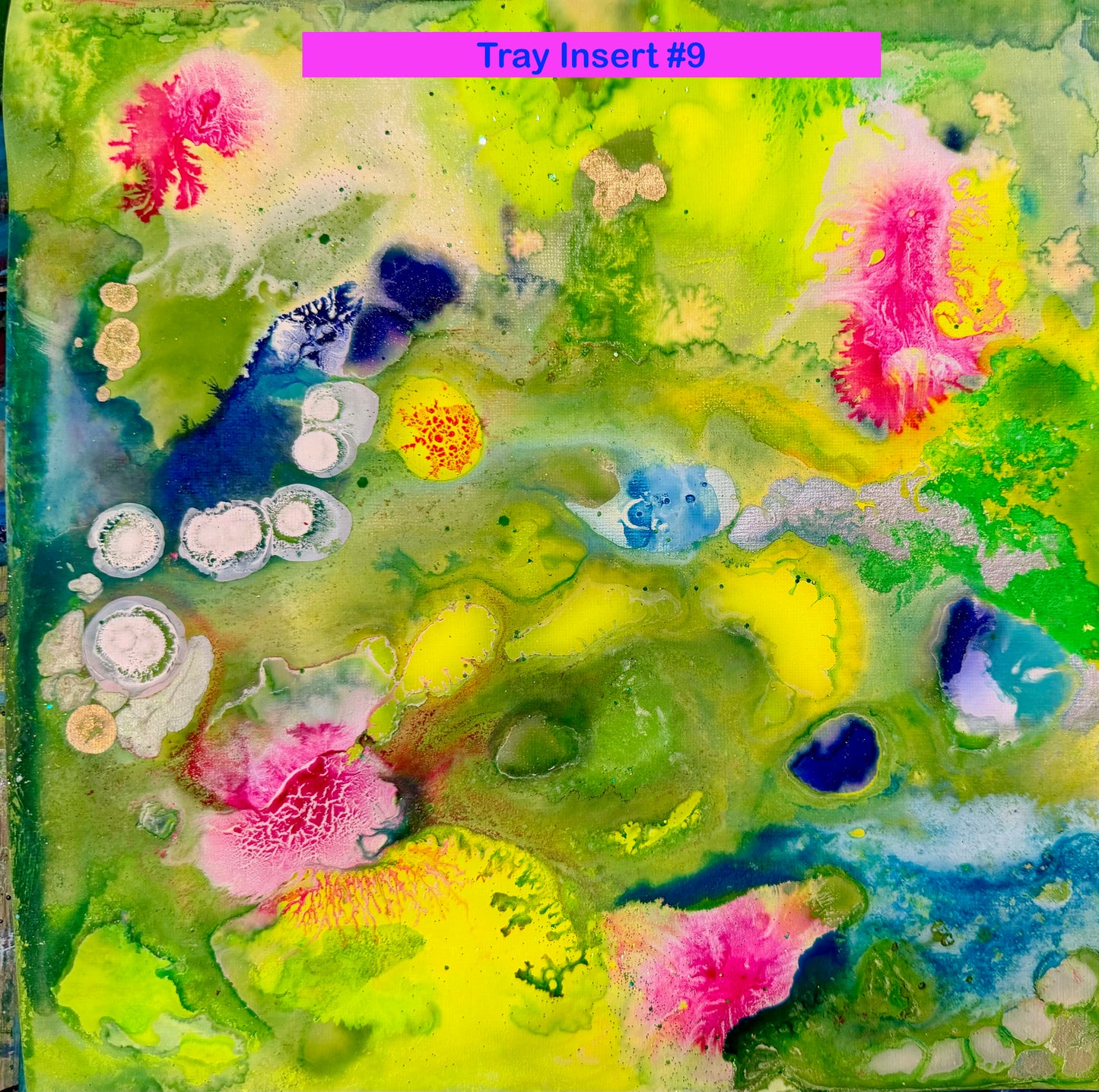 Acrylic Trays 12" x 12"