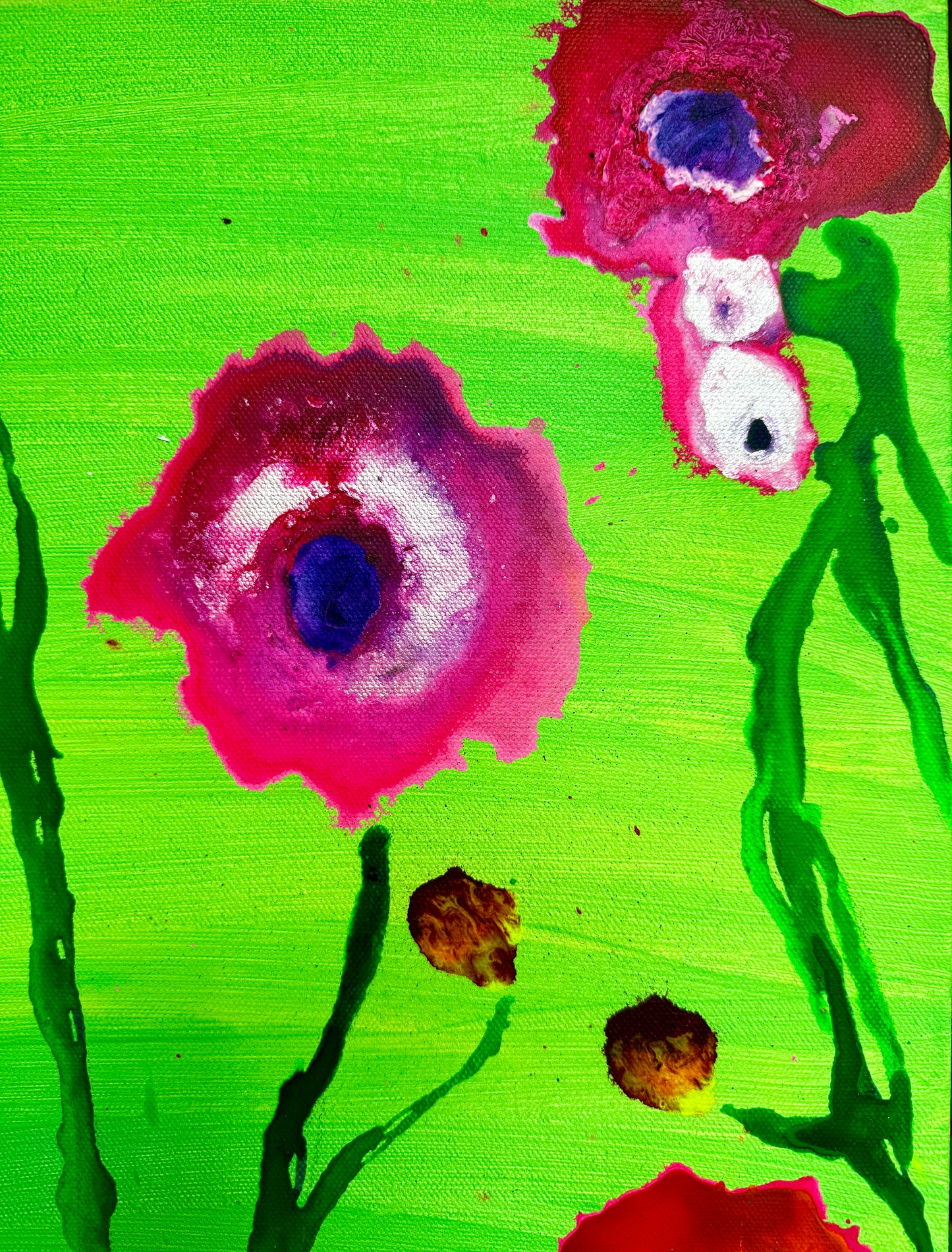 "Davidson Daisy"