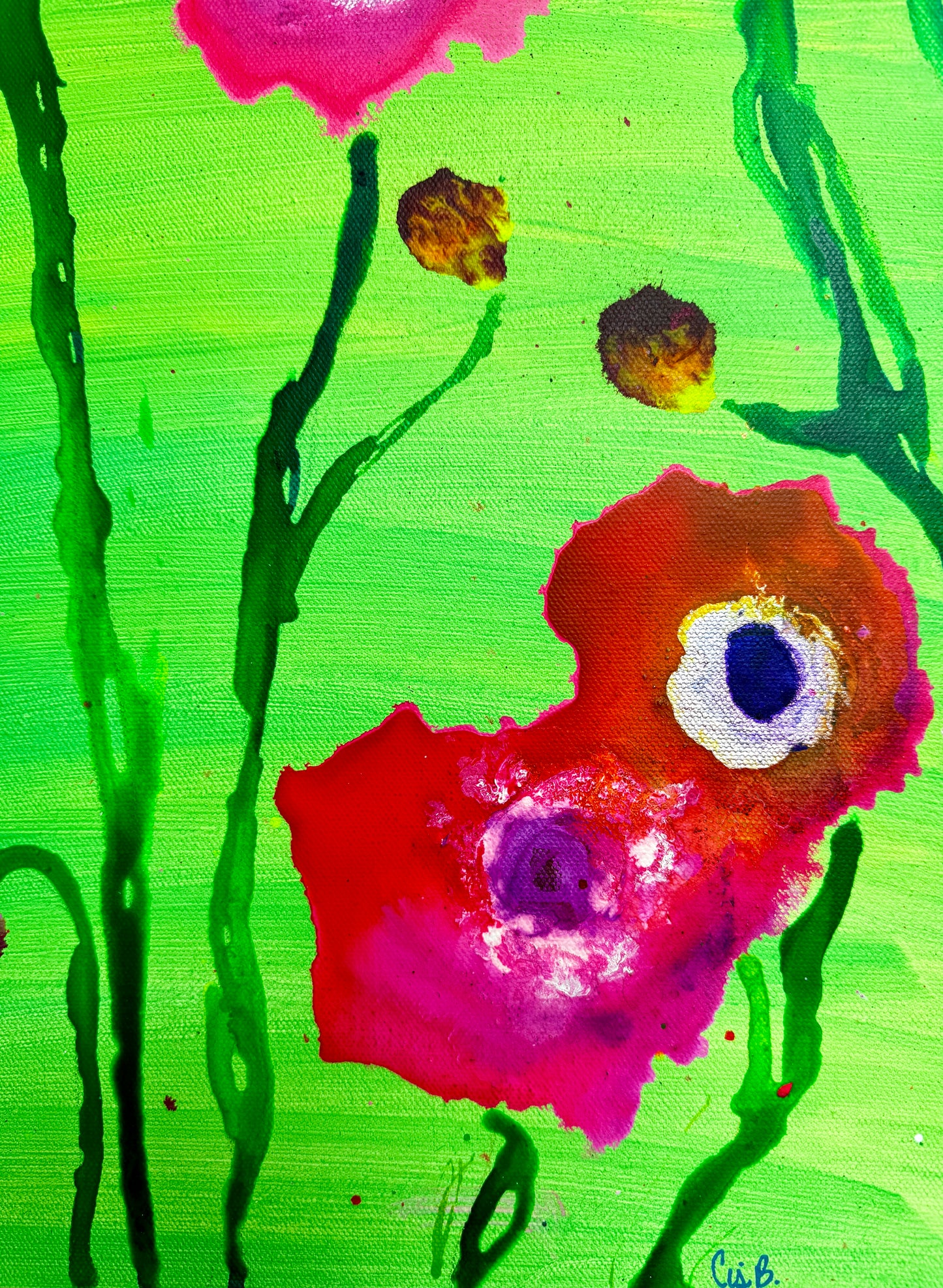 "Davidson Daisy"