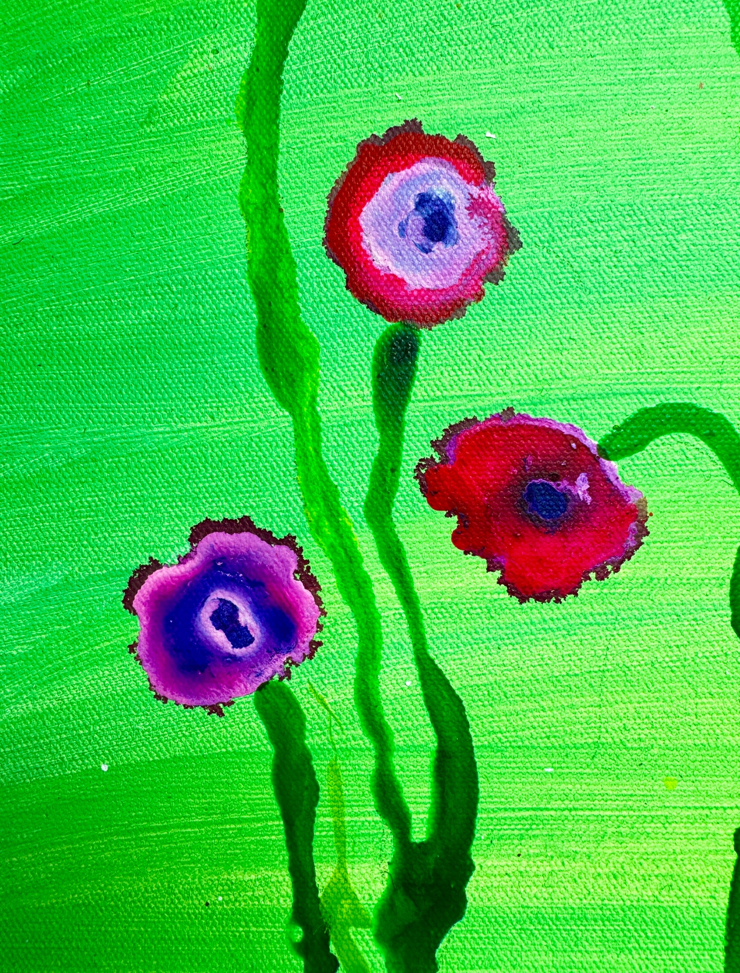 "Davidson Daisy"