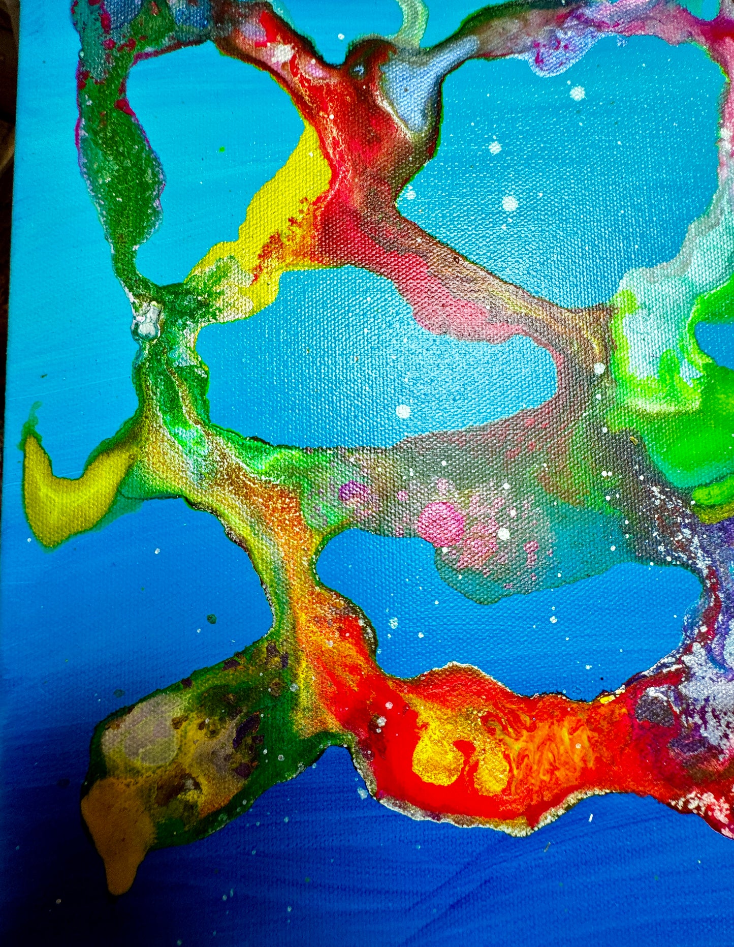"Mako Bay"