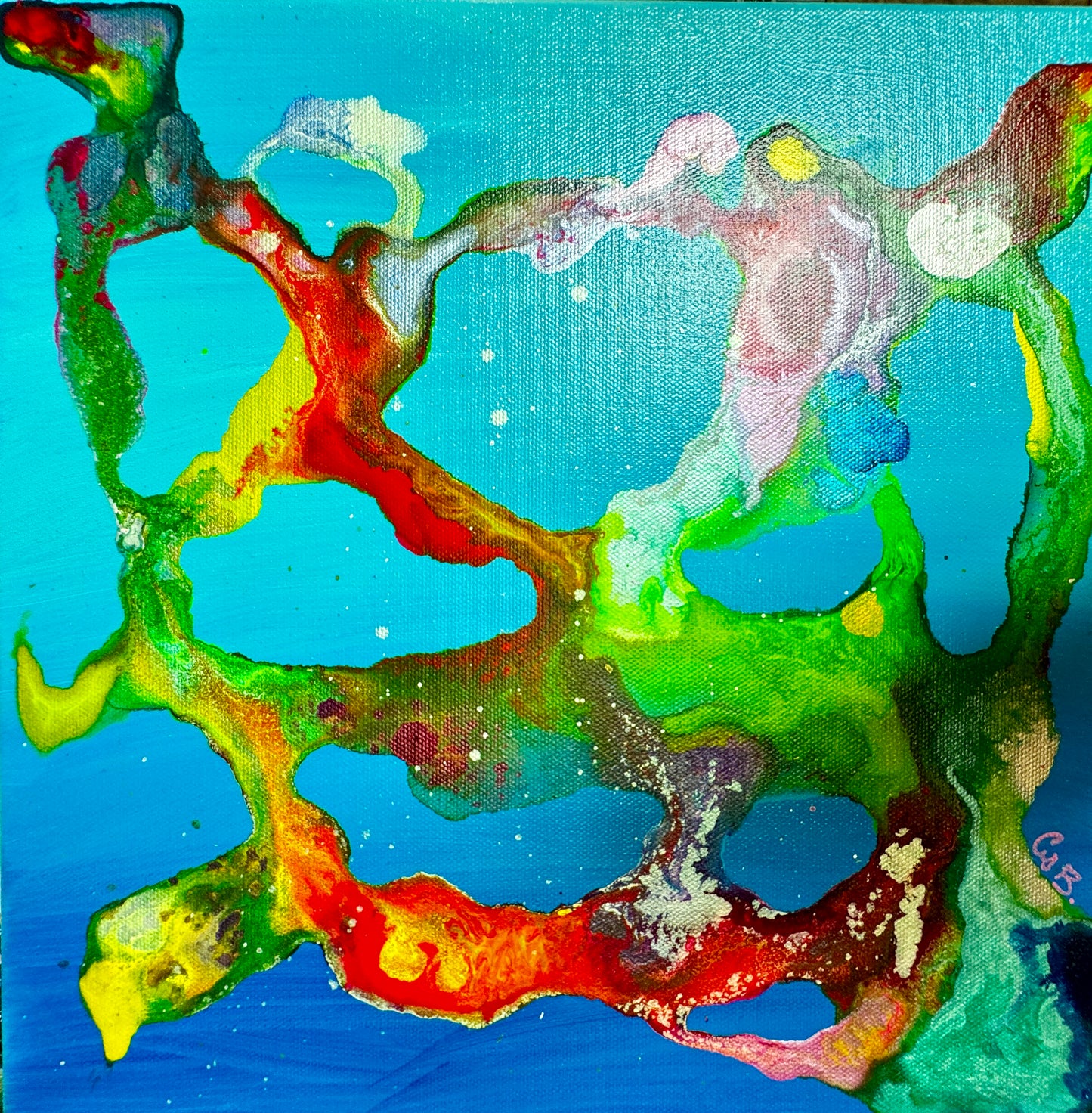 "Mako Bay"